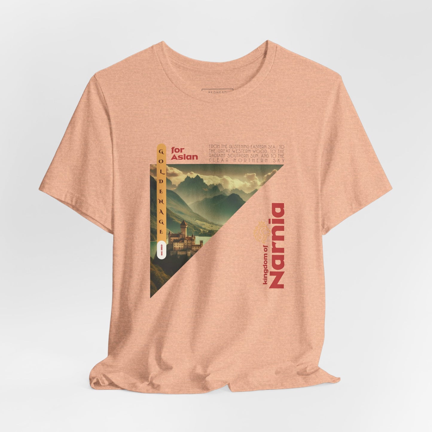 Narnia Shirt, Chronicles of Narnia, Aslan, Pevensie Narnia, Reading Shirt, Booktok Merch, Book Lover Shirt